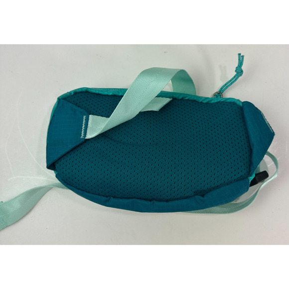 Patagonia Ultralight Black Hole Mini Waist Teal Blue Belt Bag Fanny Pack One Sz - Picture 7 of 8
